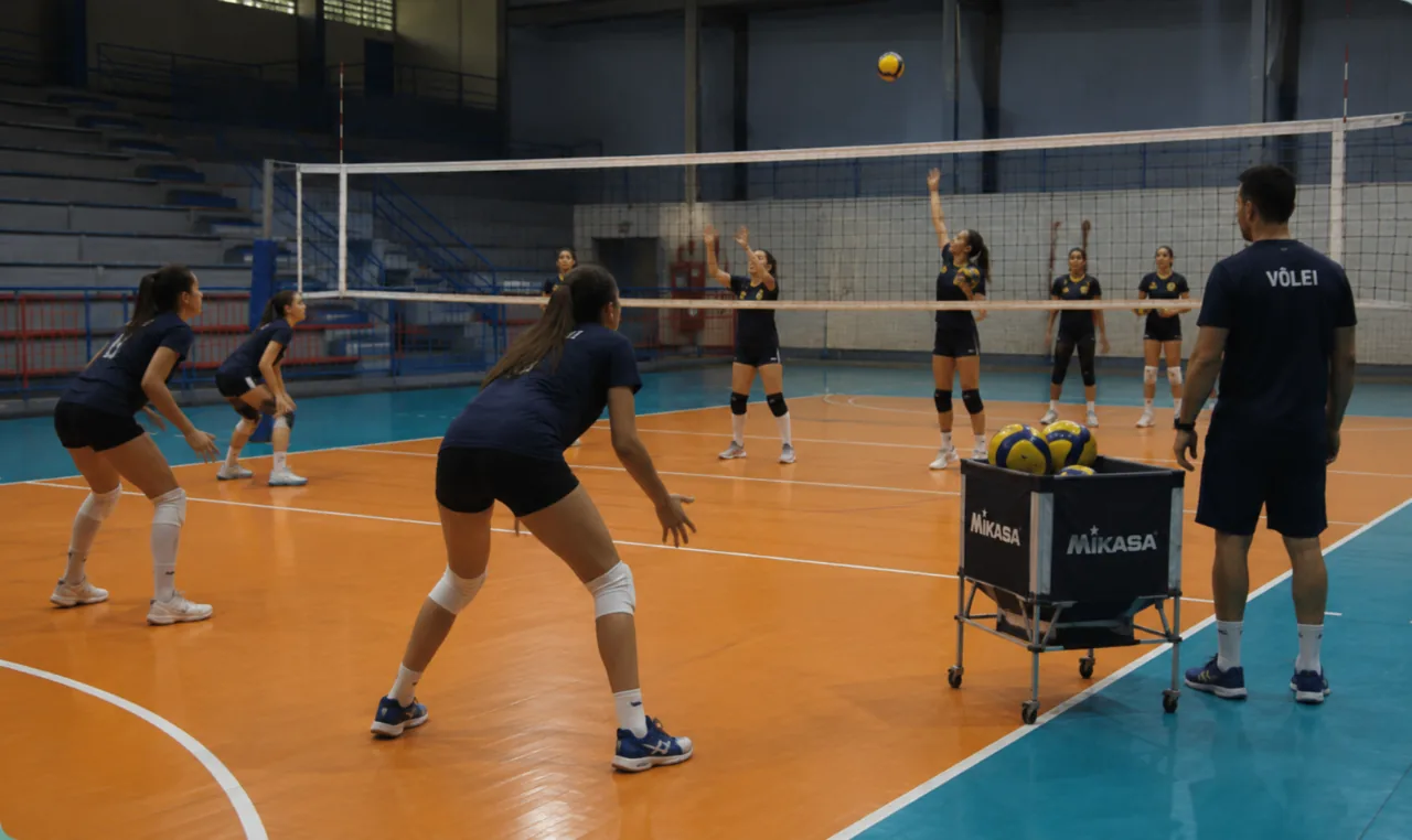 +500 entrenamientos de VÓLEIBOL en vídeo